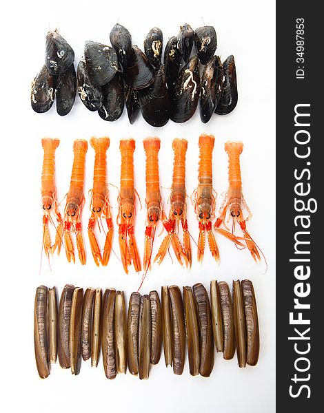 Mussels, razor shells and norway lobster, over white background. Mussels, razor shells and norway lobster, over white background.