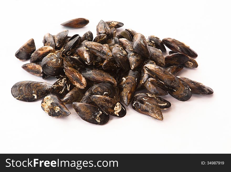 Fresh galician mussels over white background. Fresh galician mussels over white background.