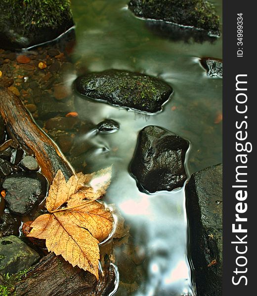 Orange beech leaves on mossy stone below increased water level. Blurred motion of blue waves around the stone.