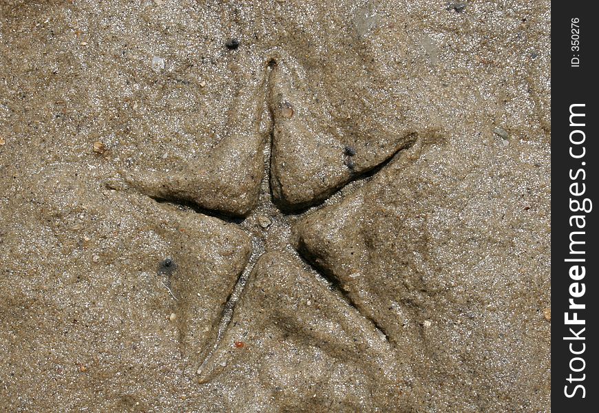 Star in sand,created by a small crayfish