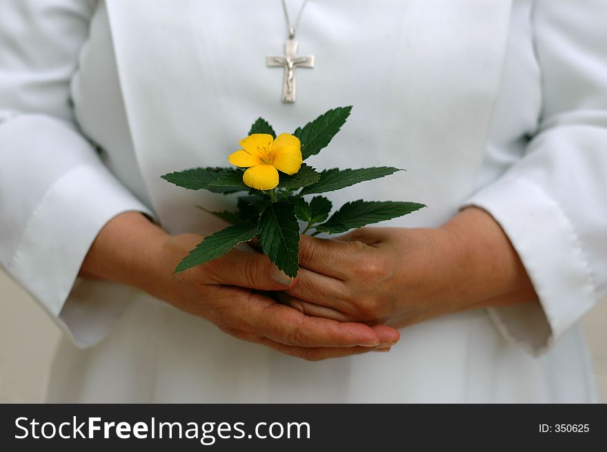 Hand of a catholic nun and flower. Hand of a catholic nun and flower.