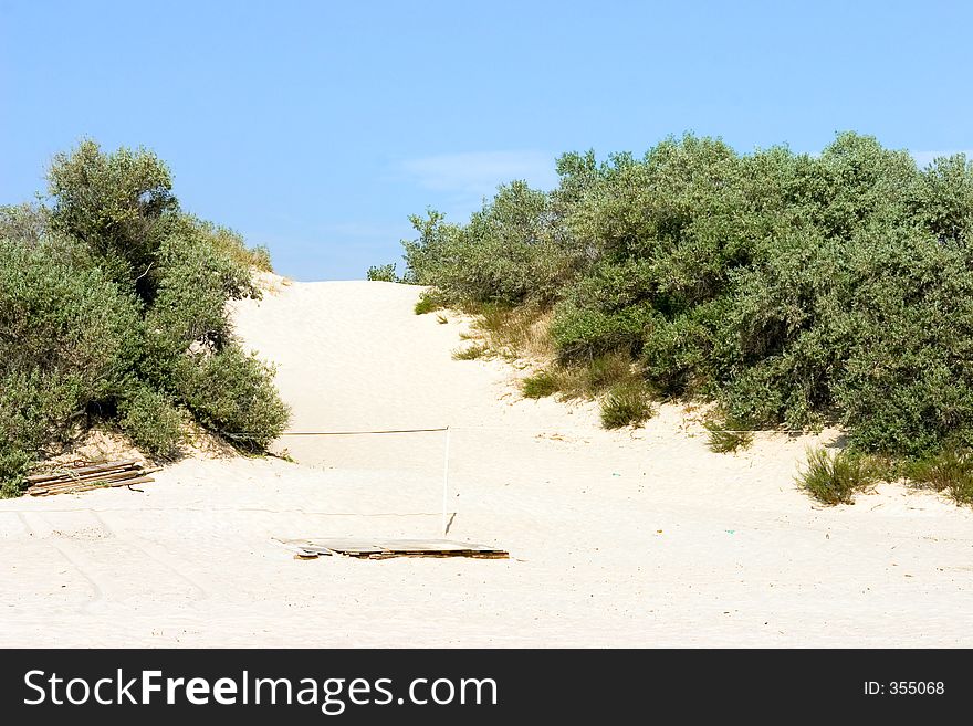 Dune with trees and blue sky at background