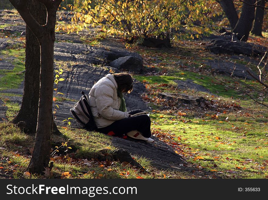 Woman lost in a book while sitting in park. Woman lost in a book while sitting in park