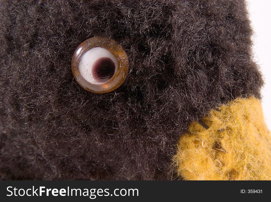 A very old glass eye on a very old stuffed animal. A very old glass eye on a very old stuffed animal