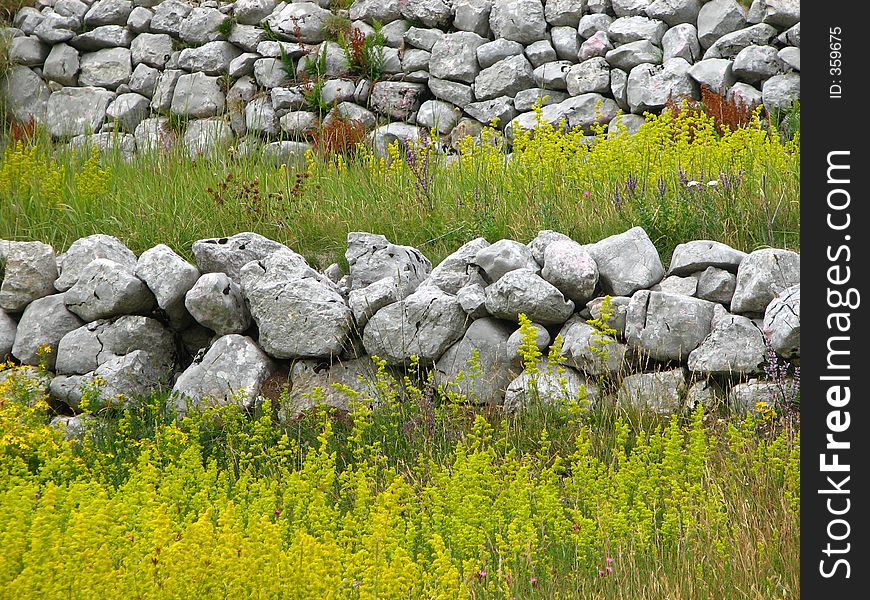 Stone And Grass