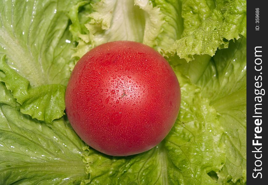 A red fresh tomato on lettuce with mach water drops. A red fresh tomato on lettuce with mach water drops