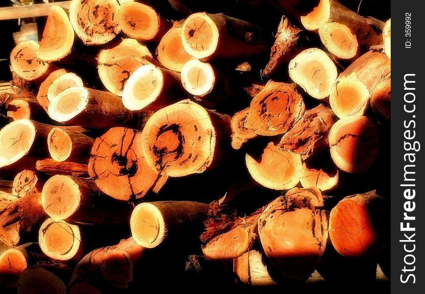 A pile of timber freshly cut for a paddle steamer on the banks of the River Murray. A pile of timber freshly cut for a paddle steamer on the banks of the River Murray.