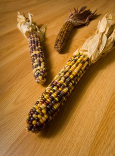 Indian Corn Royalty Free Stock Photos