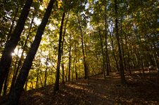 Hiking Trail In The Autumn Royalty Free Stock Photography Hiking Trail In The Autumn Royalty Free Stock Photography
