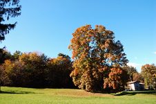 Fall Landscape Stock Photo