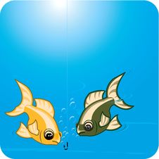 Two Fishes Looking At Hook Royalty Free Stock Photography Two Fishes Looking At Hook Royalty Free Stock Photography