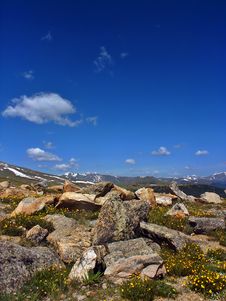 Colorado Mountain Tundra And W Royalty Free Stock Photography Colorado Mountain Tundra And W Royalty Free Stock Photography