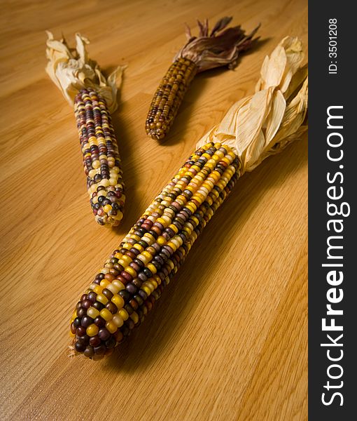 Multi-colored Indian corn background, autumn or fall decoration items