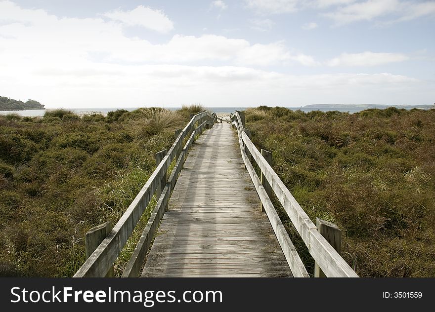 A boardwalk across sand dunes and native grasses leading to the ocean. A boardwalk across sand dunes and native grasses leading to the ocean