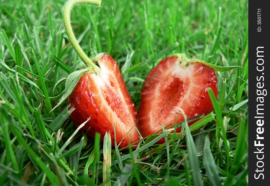 Sliced strawberry lying in the grass