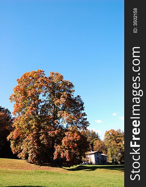 Country landscape during fall season. Country landscape during fall season