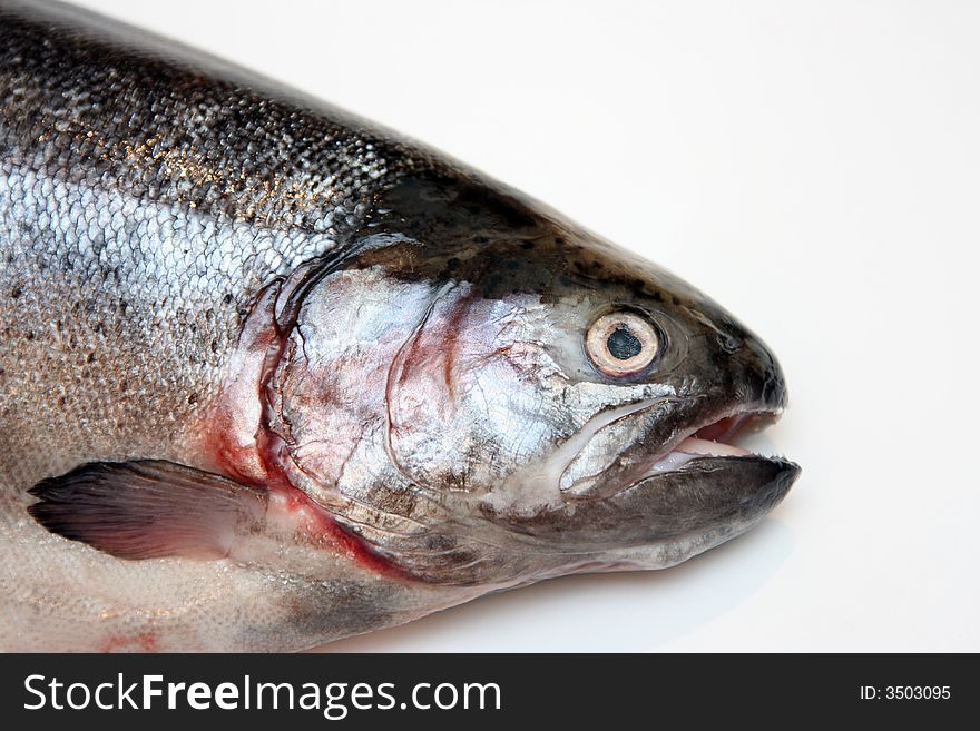 Fresh salmon.Head of a fish. Isolation on white.
