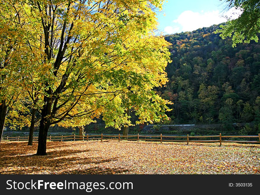 The foliage scenery in Delaware water gap recreation area