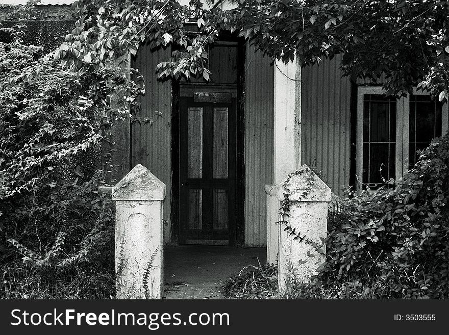 Black and White doorway door overgrown