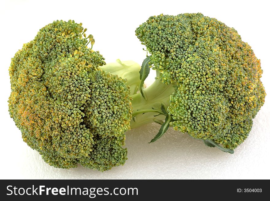 Broccoli isolated on the white