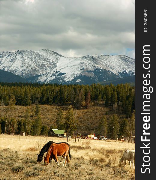 Colorado scenic with mountains and horses. Colorado scenic with mountains and horses