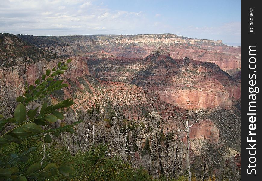 North Rim in Grand Canyon National Park.