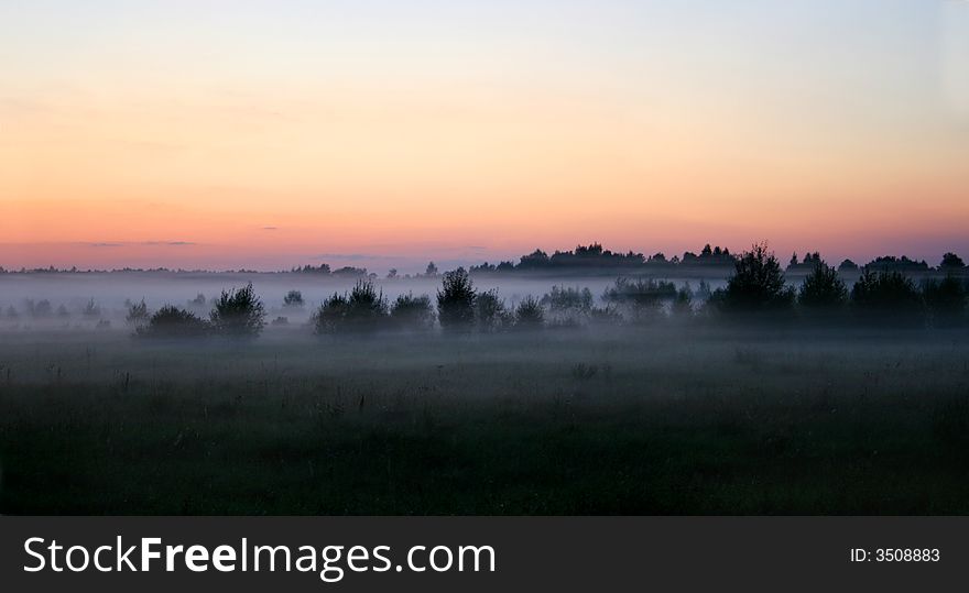 Evening fog in a field, landscape