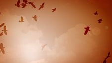 Many Silhouettes Of Birds In The Sky With Sun Royalty Free Stock Photography Many Silhouettes Of Birds In The Sky With Sun Royalty Free Stock Photography