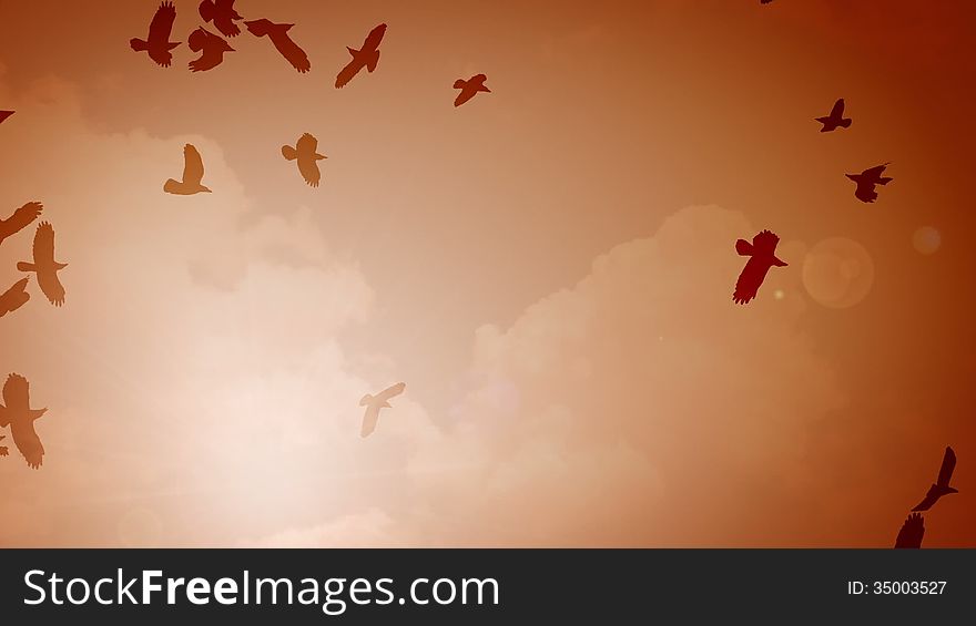 Many Silhouettes Of Birds In The Sky With Sun