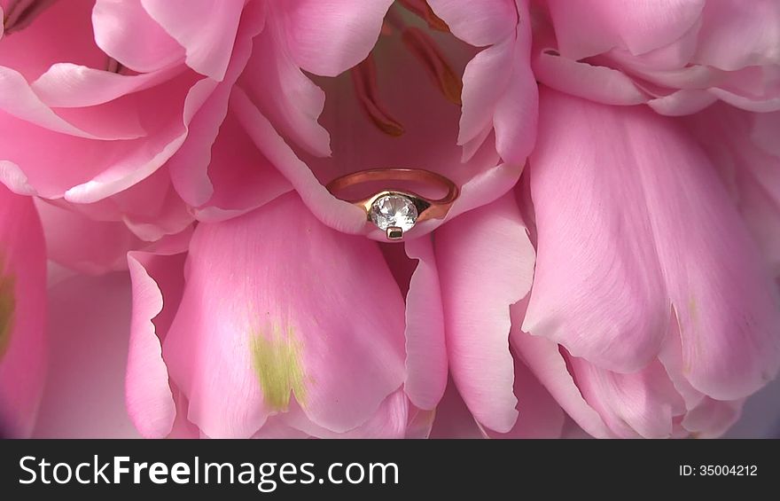Gold ring with a gemstone inside the fresh and delicate flower tulip. Gold ring with a gemstone inside the fresh and delicate flower tulip