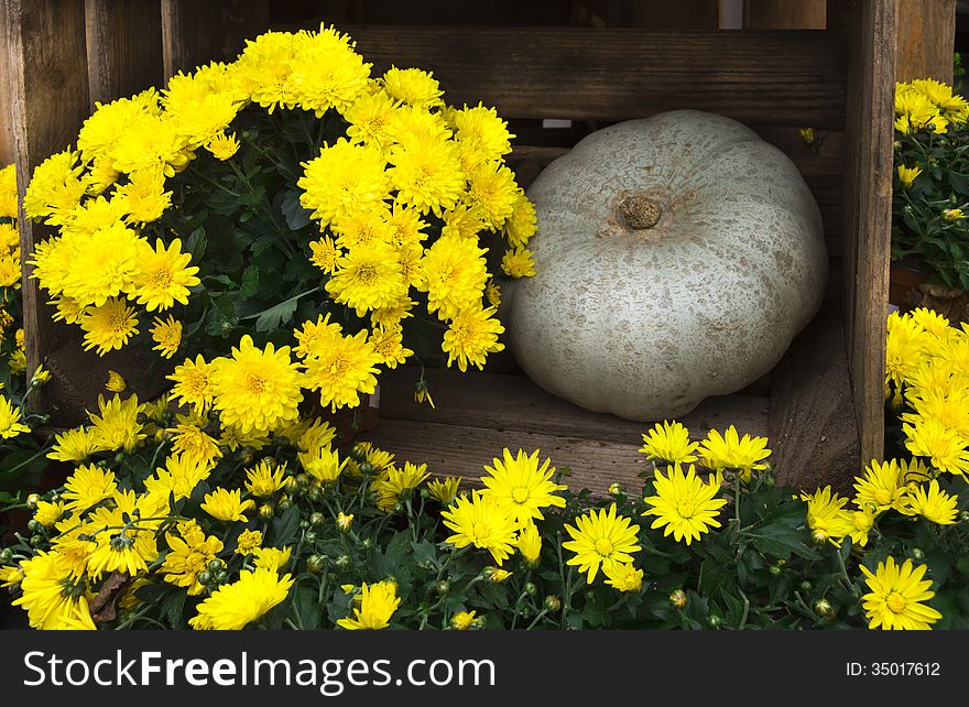 Flowers and pumpkin decoration on a wooden background