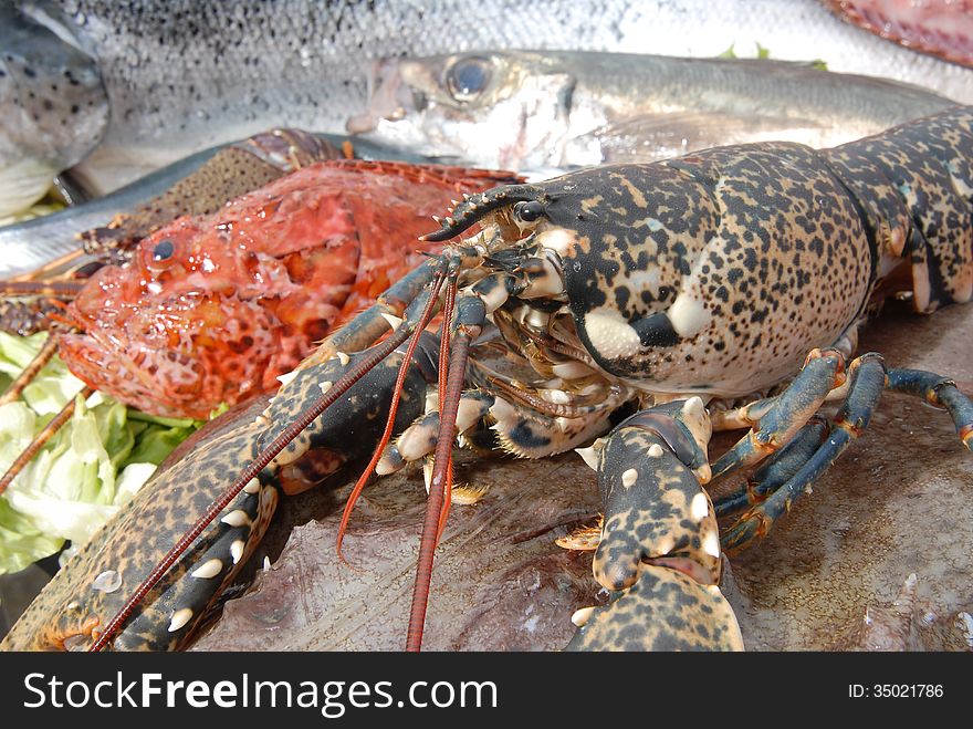 Catering sea food