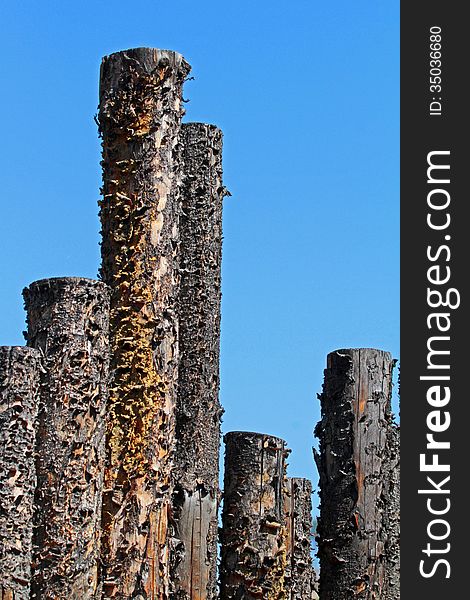 Close Up Detail Of Textured Old Fence Posts Against Blue Sky. Close Up Detail Of Textured Old Fence Posts Against Blue Sky