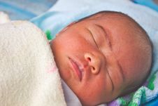 Baby Newborn Stock Photography
