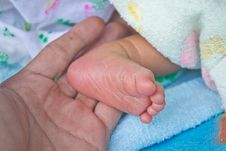 Newborn Baby Feet Royalty Free Stock Photo Newborn Baby Feet Royalty Free Stock Photo
