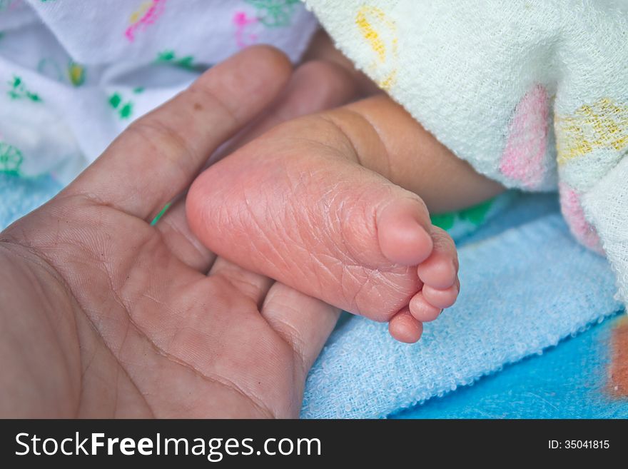 Close up newborn baby feet on female hand