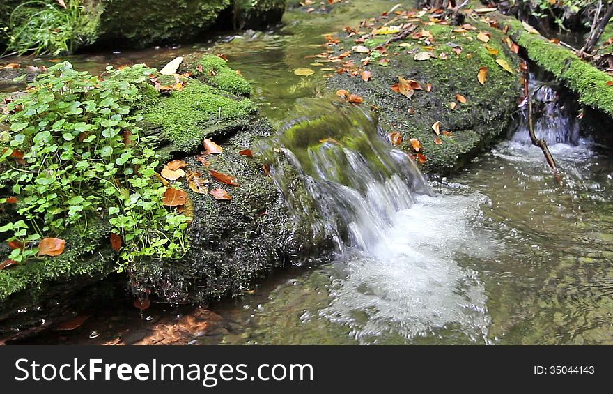 Peaceful flowing stream in the autumn forest (Czech Republic). Peaceful flowing stream in the autumn forest (Czech Republic)