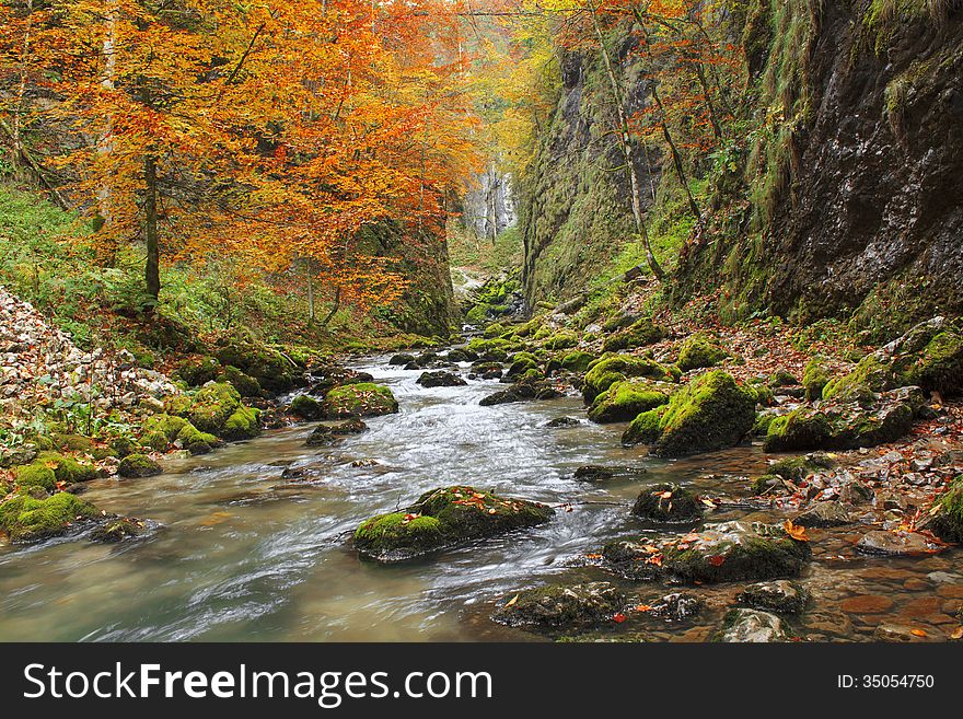 Galbena canyon autumn in Transylvania