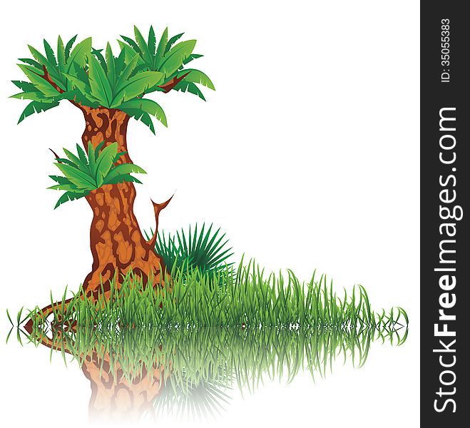 Vector illustration of reflective tree and grass on water