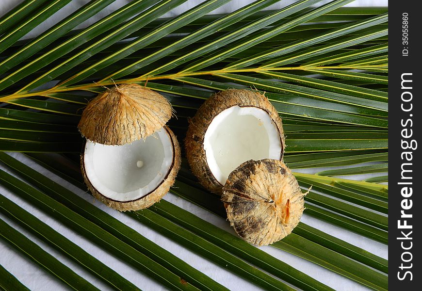 Fresh coconuts open and ready for tropical drinks. Fresh coconuts open and ready for tropical drinks