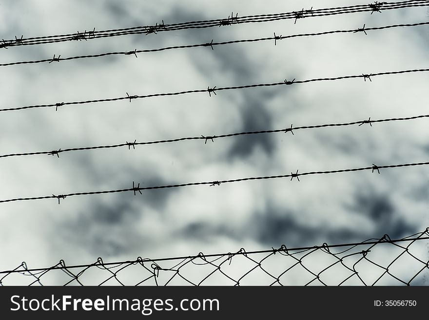 The freedom is in the sky that exists behind the wire fence.