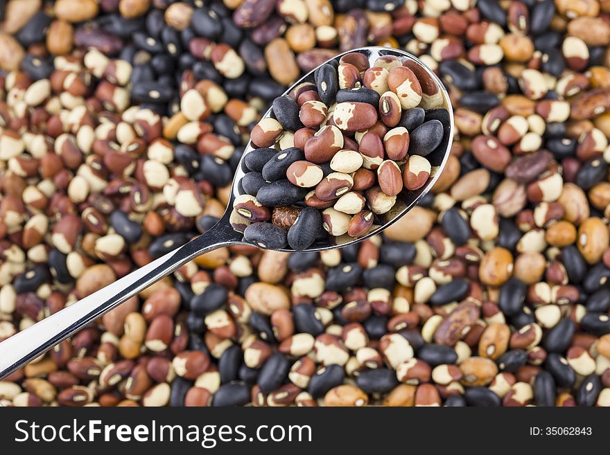 A spoon full of beans.