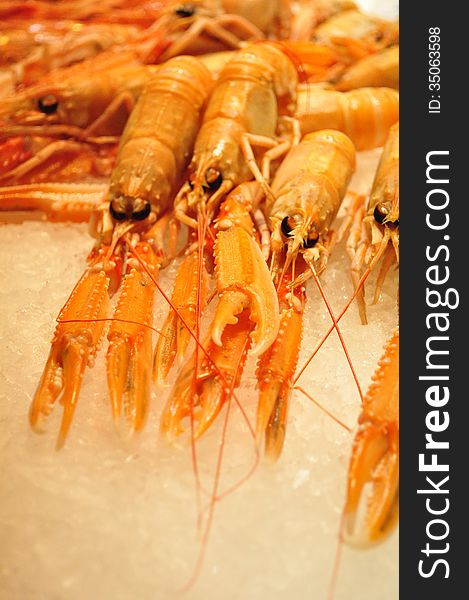 Fresh prawns close up in european market,Barcelona 2013.