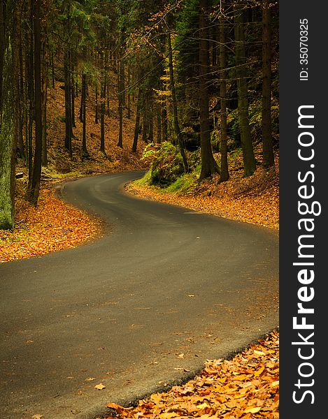 Empty asphalt road in autumn forest. Empty asphalt road in autumn forest