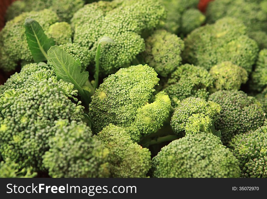 Gree flowers Cabbage - broccoli - Brassica silvestris - food