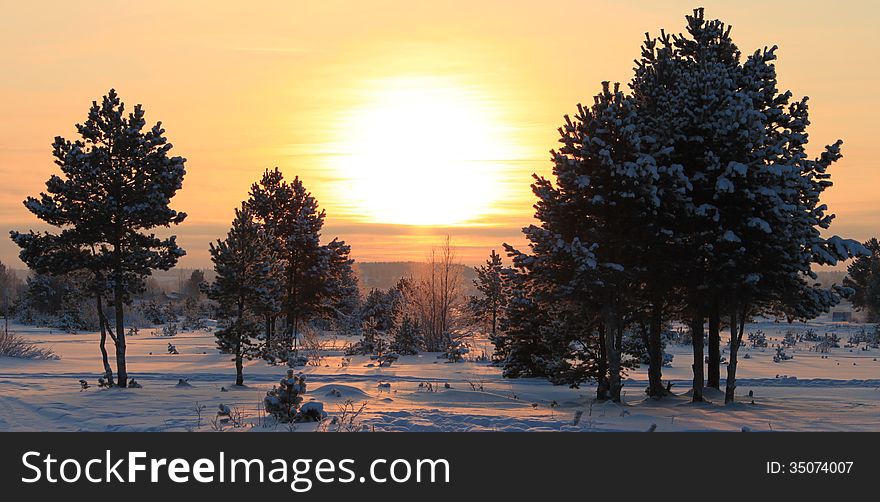 Beautiful Sunset in frosty winter day in the forest. Beautiful Sunset in frosty winter day in the forest