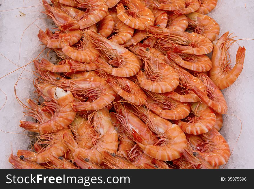Fresh raw shrimps on ice. Fresh raw shrimps on ice.