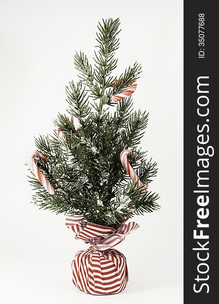 Tree decorated with peppermint sticks and a red and white striped base against a white background. Tree decorated with peppermint sticks and a red and white striped base against a white background