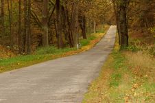The Road Through The Forest. Royalty Free Stock Photos