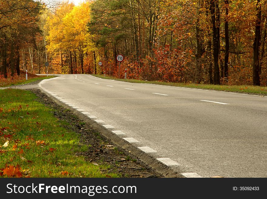 The photograph shows an asphalt road running through deciduous forest. It is autumn, the leaves took on a yellow and brown color. The photograph shows an asphalt road running through deciduous forest. It is autumn, the leaves took on a yellow and brown color.